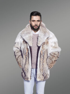 Men Bomber Jacket in Coyote Fur